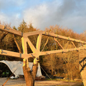 ChatGPT Plus The Future of Wood Construction: Innovations in Truss Manufacturing